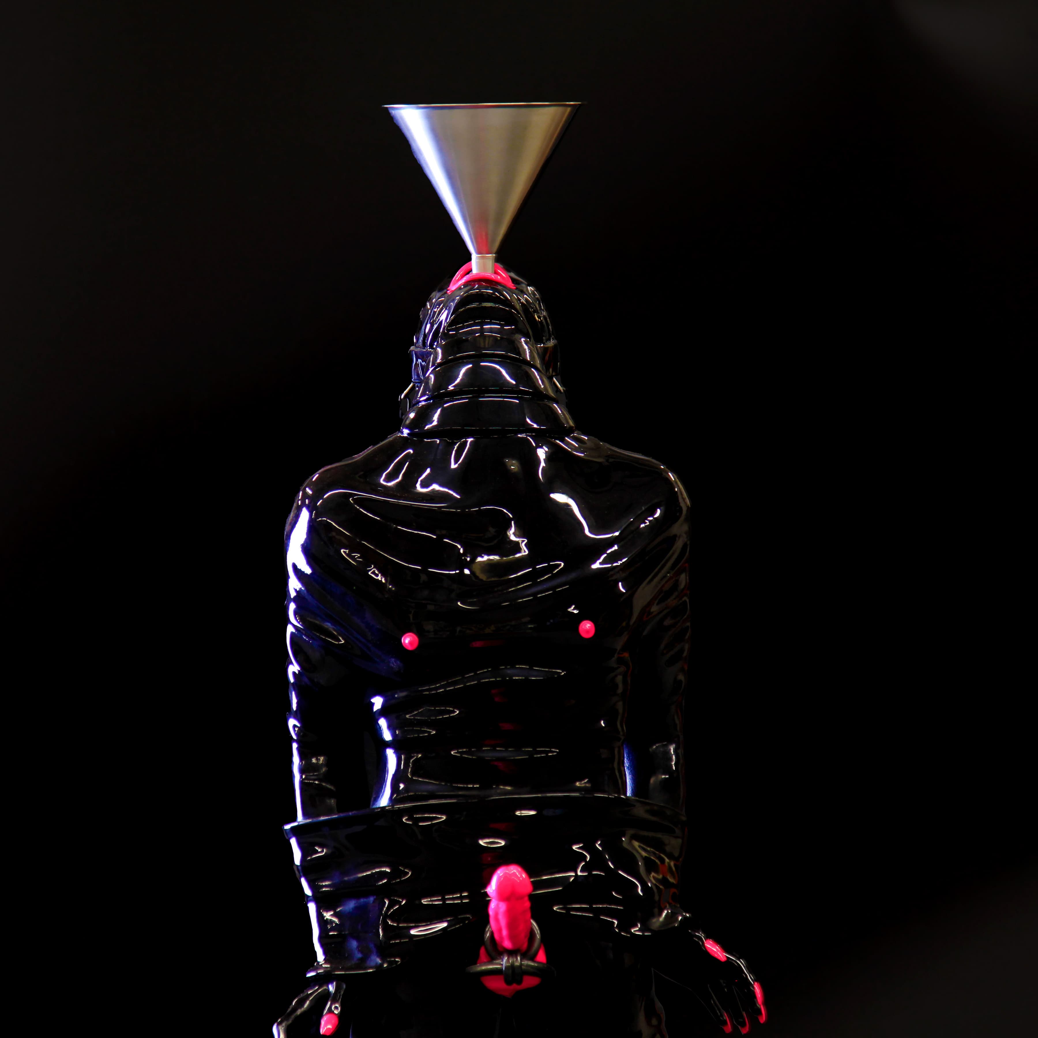 picture of the gimp sculpture