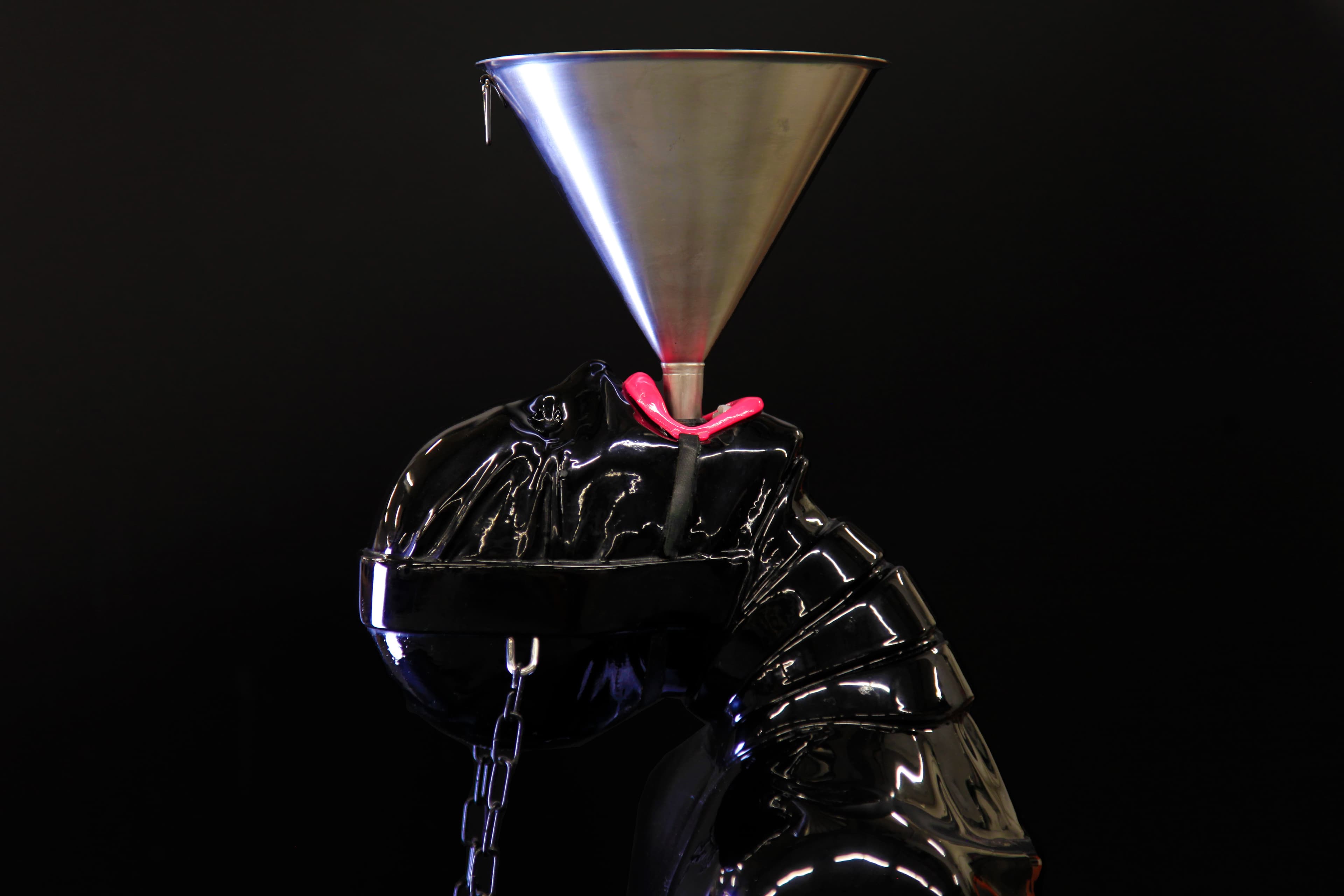 picture of the gimp sculpture