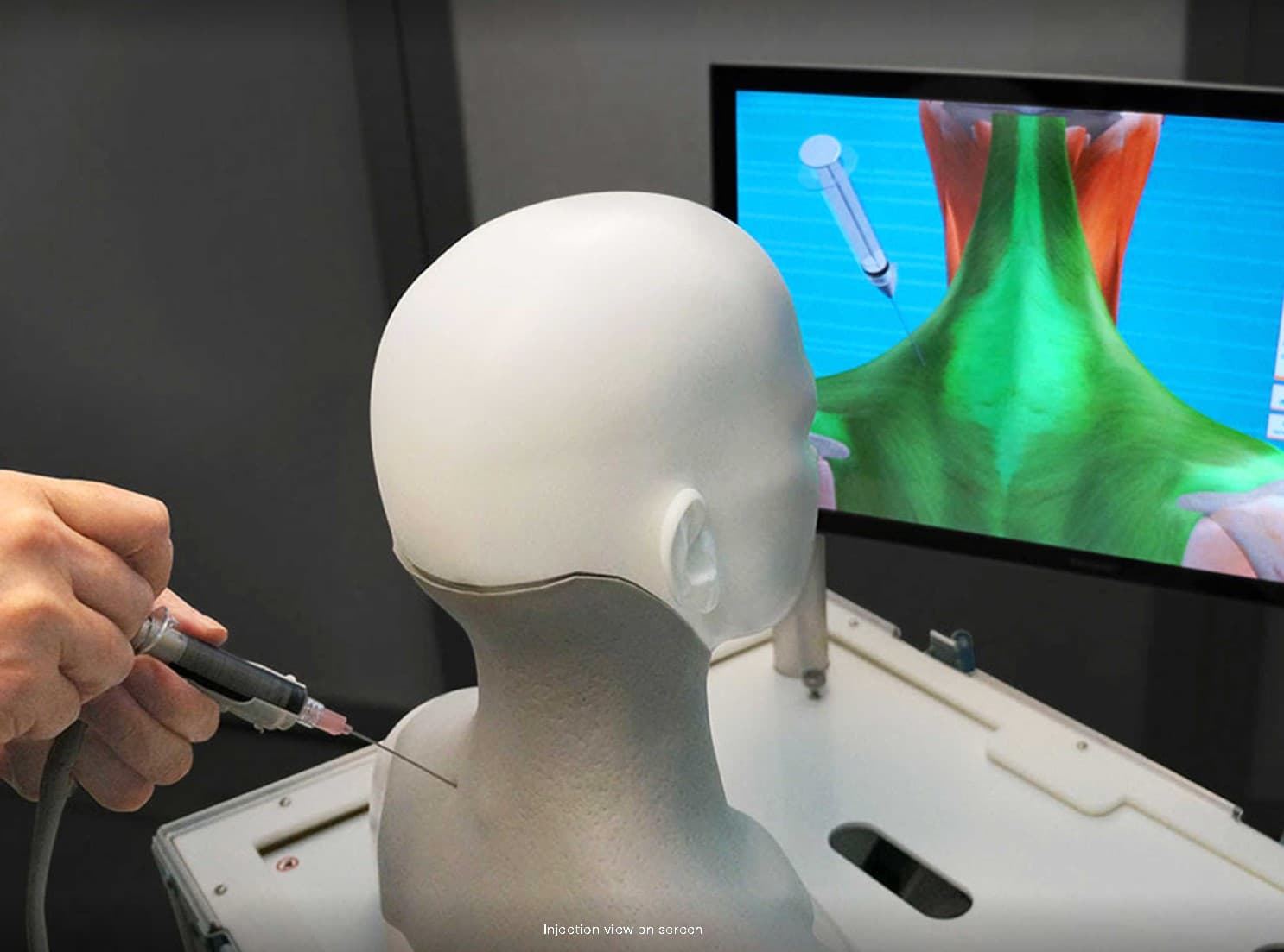 picture of the injection simulator sculpture