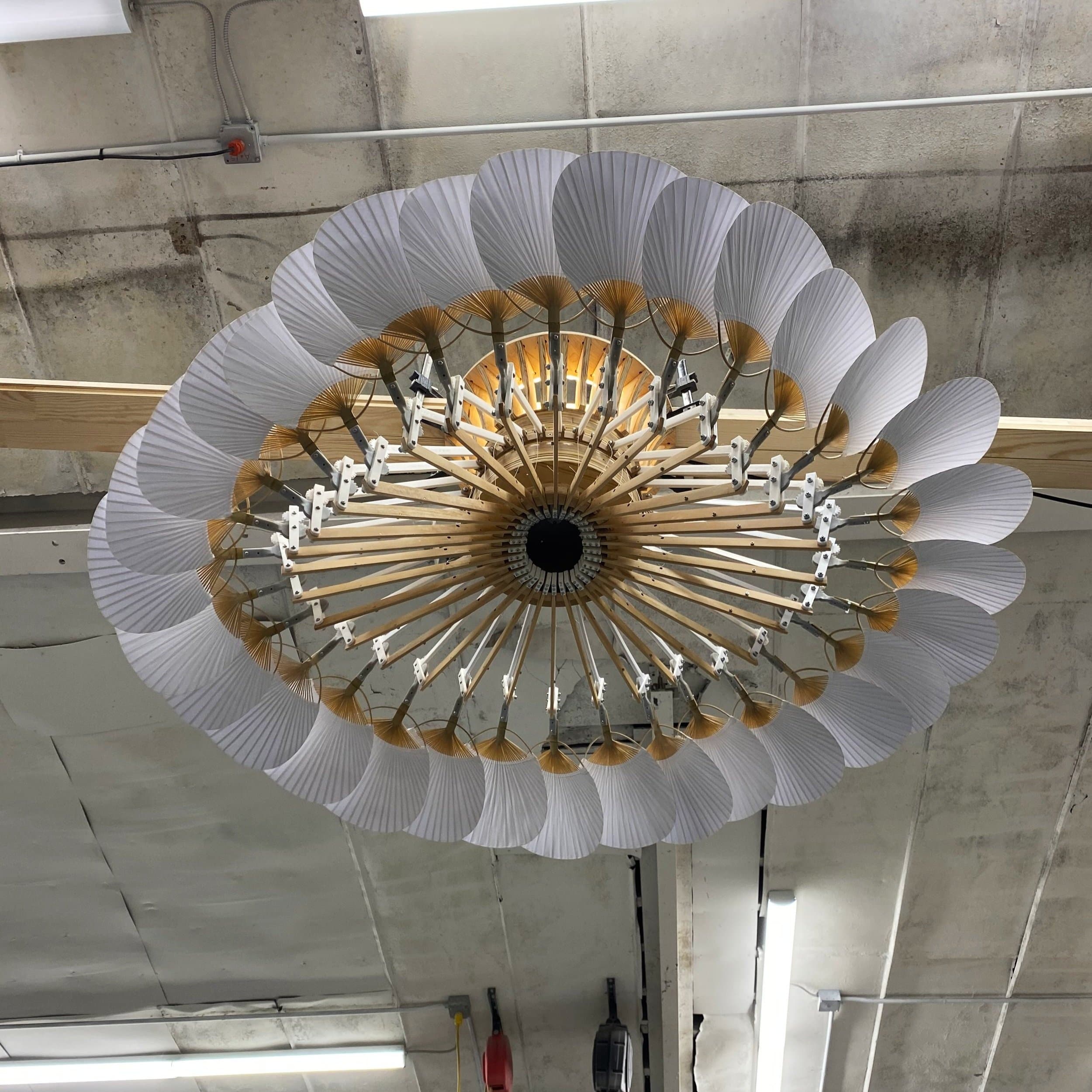 picture of the kinetic dandelion